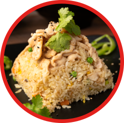 Chicken Fried Rice / 鸡肉炒饭